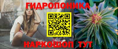прущие грибы Чебаркуль