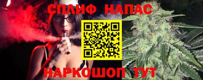 прущие грибы Чебаркуль